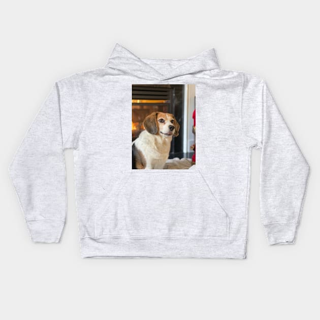 The Holiday Beagle Kids Hoodie by Layla's Surgery Fundraiser